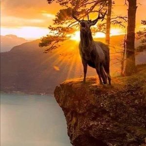 Meet your Posher, Leticia